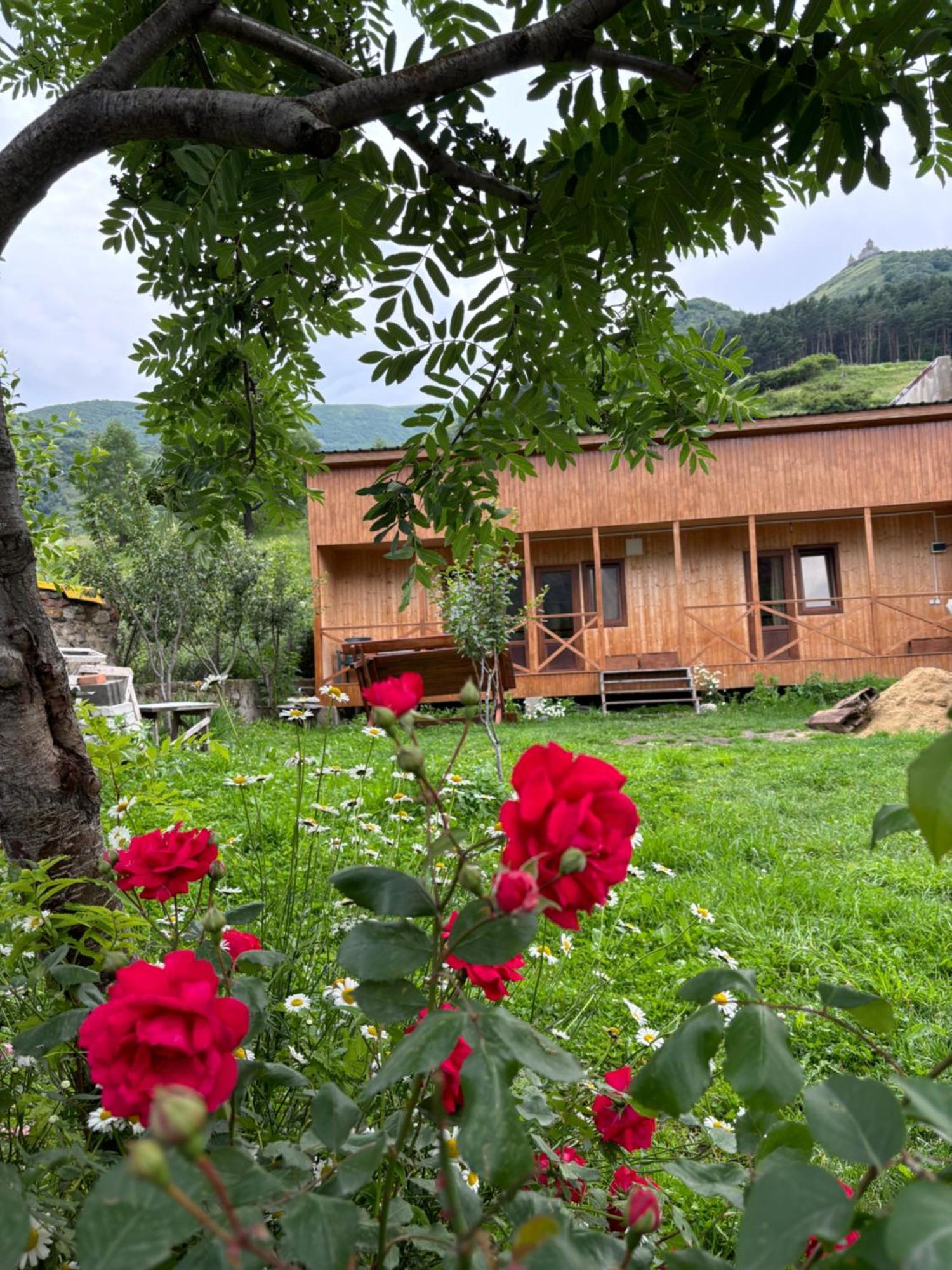 Family Hostel Nika Kazbegi Dış mekan fotoğraf
